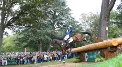 Cottage Forestier ©PSV Photo - www.psvphoto.com