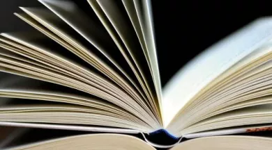 Pliage_de_livres-49-FMA-photo1 - ©congerdesign de Pixabay