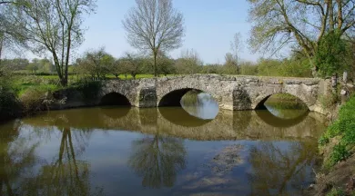 Chemiré_pont de bréaud pont mérovingien - Mairie MSD