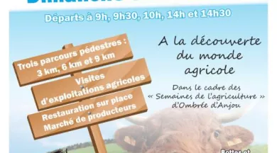 Balade_en_fermes-49-FMA-photo1 - ©Ombrée d'Anjou