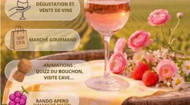 Portes ouvertes Domaine Tuffiere 2026 - Domaine de la Tuffière