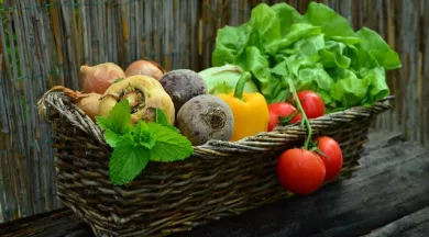 PANIER LEGUMES1 - @fotolia
