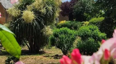 Le jardin de serge - Les Jardins de Serge