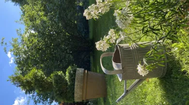 Jardins de la Closerie_Huillé - Laura BELLANGER