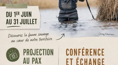 affiche expo CAUET - Mairie Tiercé