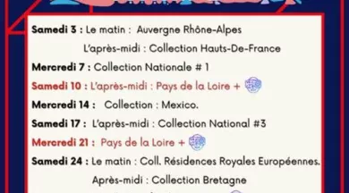 Programme  Micro-Folie janvier 26 - Segré - 49 - FMA - ©SEAB