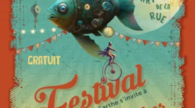 Affiche Festival ALS 2025 - Ccals