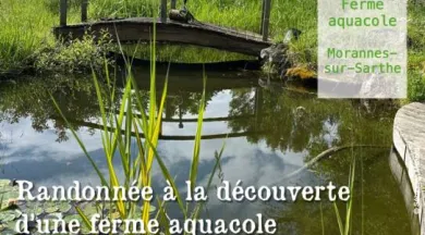 ptitesvirees_fermeaquacole - CCALS