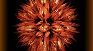 Kaleidoact_Centrale_7-49-FMA-photo1 - ©Centrale 7