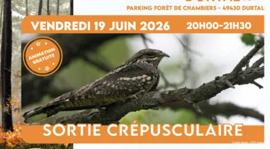 Affiche Carré - Sortie Crépusculaire - Mairie Durtal