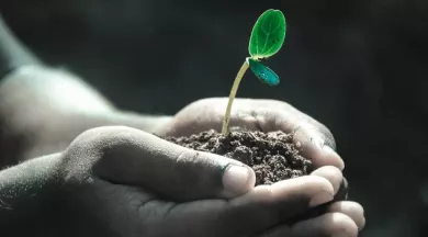 Biodiversité - Pixabay