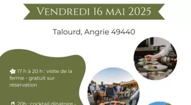 PO2025verso-Maison de Campagne - Maison de Campagne