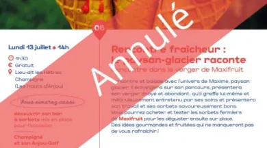 Visite annulée - Maxifruit - @OTAB