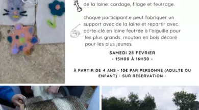 Atelier laine fév 2026 - Le Bourg-d'Iré - 49 - FMA - ©Ferme aux 5 Chemins