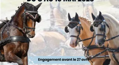Affiche - Concours 2026 - Attelage - Haras des Fenucy