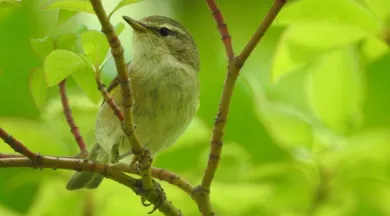 RDV Nature 24042026 - jagdi