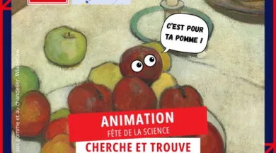 Atelier cherche tes saveurs - Segré - 49 - FMA - ©SEAB