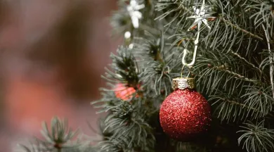 Noel-Gen© Kati de Pixabay -  Kati de Pixabay