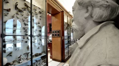 Visite_Musée_Joseph_Denais-49-FMA-photo1 - ©Musée Joseph Denais