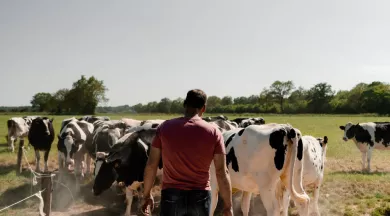 Traite_ouverte_LesP'tits_brillets-49-FMA-photo2 - ©Les P'tits Brillets