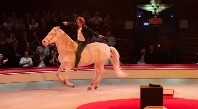 fa26-sexe_grog_et_rocking_chair - Louis Josse JMD PRODUCTION