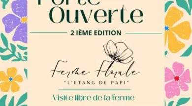 Affiche Printemps Vintage Romantique Beige et Rose - 3 - ©Etang de Papi