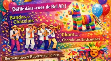 Carnaval-49-FMA-photo1 - ©Association des Commerçants de Bel Air