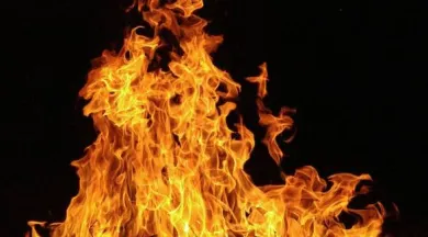 Feu_de_la_Saint_Jean-FMA-49-photo1 - ©Unsplash