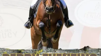 Affiche 2026 - Derby - Haras Fenucy