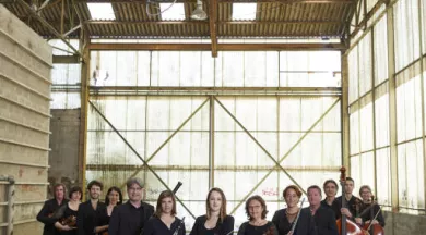 Ensemble instrumental de la Mayenne - © Prisma