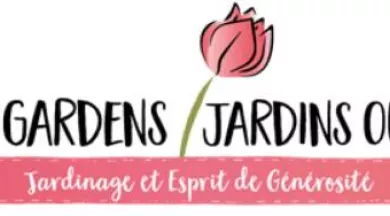 opengardens - www.opengardens.eu