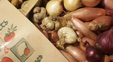 Marché de producteurs de Martigné sur Mayenne - OTVHM