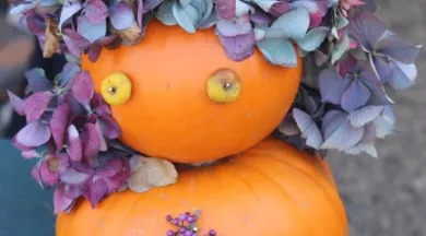 citrouilles jardins des renaudies colombiers du plessis 53 - Les Jardins des Renaudies