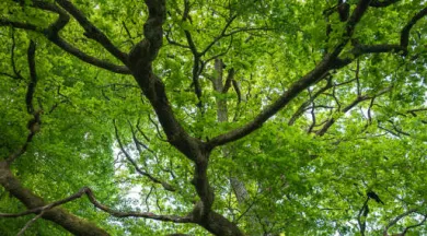 randonnée écologique La marche du Temps - Sz'PHOTOGRAPHIE