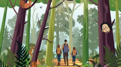 Les découvertes du CPIE 2025 - La Forêt - CPIE Mayenne Bas Maine