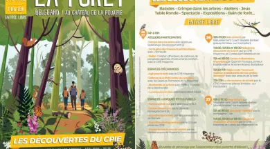 Les découvertes du CPIE 2025 - La Forêt - CPIE Mayenne Bas Maine