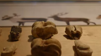 Visite archéologie et climat - Communauté de communes des Coëvrons