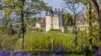 Vue de Ste Suzanne - Fabien Chéré - © Fabien Chéré