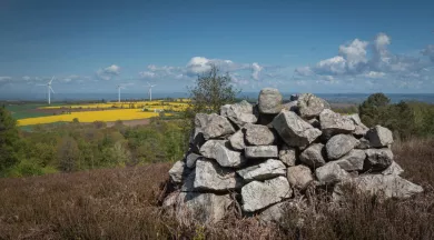 pourquoi la lande ? - BenoitSarazin2BS-IMAGE&DRONE