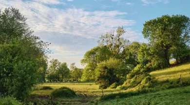 Paysage de Bocage - Alexandre Lamoureux