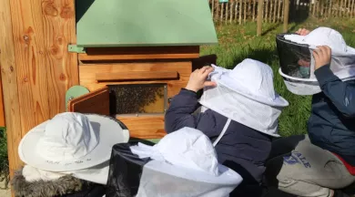 Les Abeilles Mayennaises - Les Abeilles Mayennaises