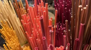 marqueterie de paille - Amandine Paillasse
