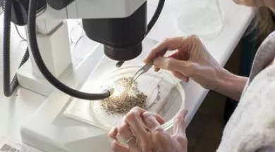 La-carpologie_Inrap Lab-Archéo_Myr-Muratet-Inrap - Myr-Muratet-Inrap