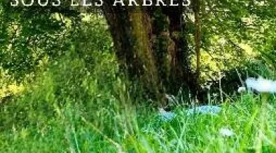 lieder schubert - ©Linières