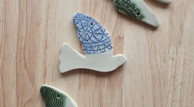 20260209_135729 - le bocal