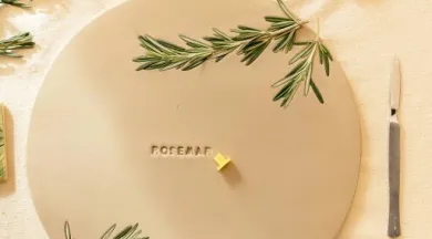 pexels-shkrabaanthony-6694709 - @Le Bocal