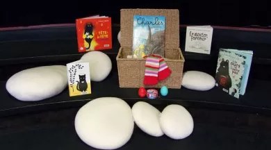 Mimilit - Médiathèques et Bibilothèques de Mayenne Communauté