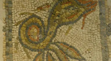 VG flash La mosaïque de Jublains - Musée archéologique de Jublains
