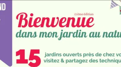 Flyer BMJN 2026-1 - CPIE