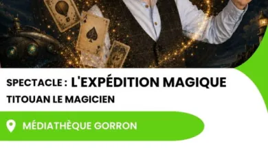 Affiche spectacle l'expédition magique - Réseau Lecture et Titouan le magicien